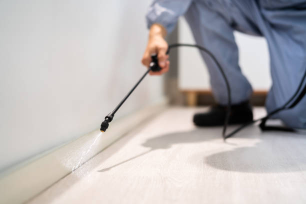 Professional exterminator conducting IPM assessment in Chester Gap